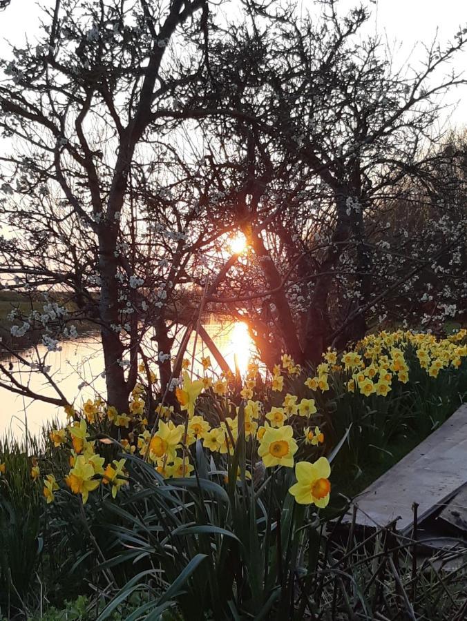Iris'T; Dijkhuisje In De Polders Van Groede. Villa Luaran gambar
